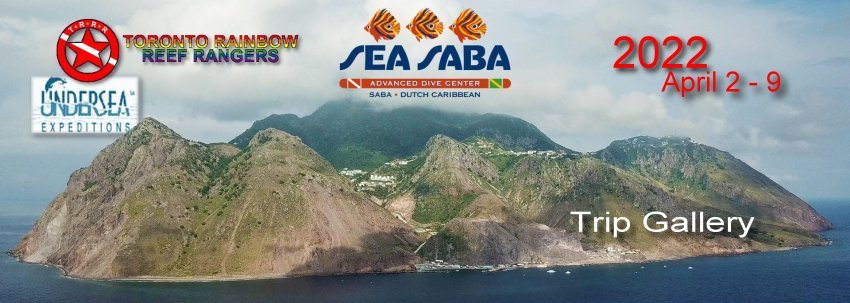 Saba 2022 Trip Gallery